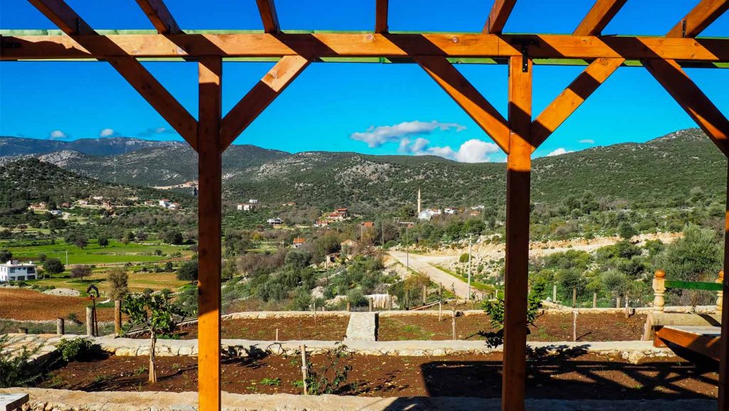 M EVİ